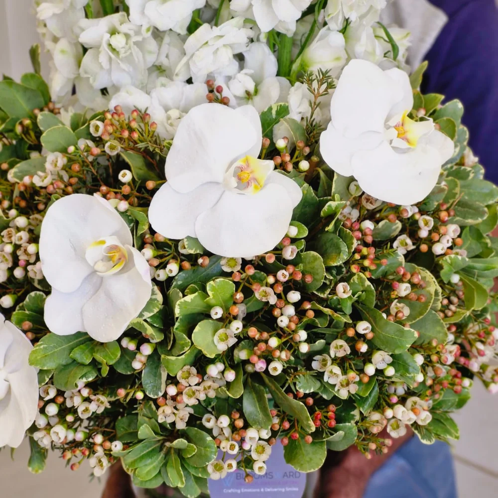 The Bloomsy Cream