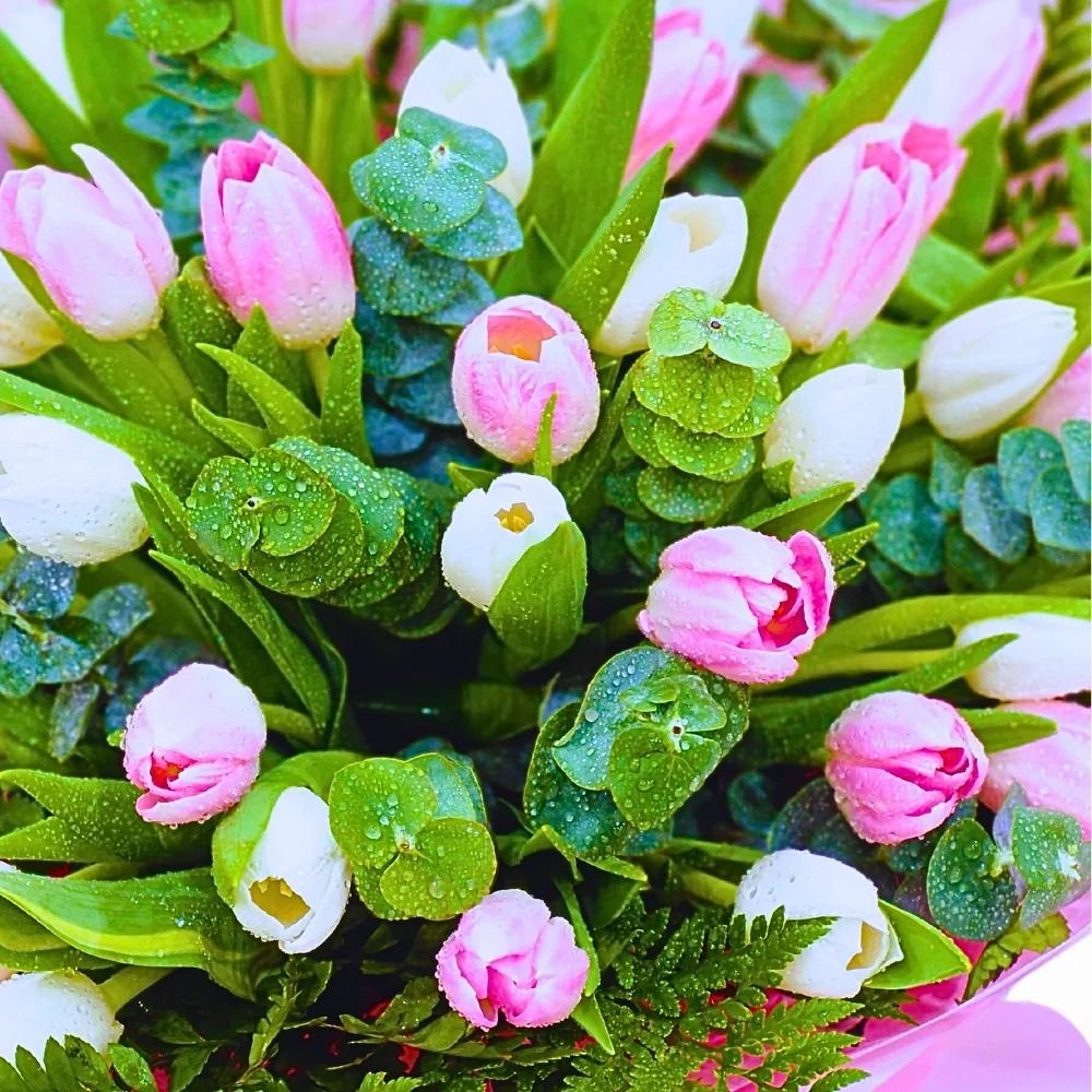 The Lost in Dream - 40 Tulips