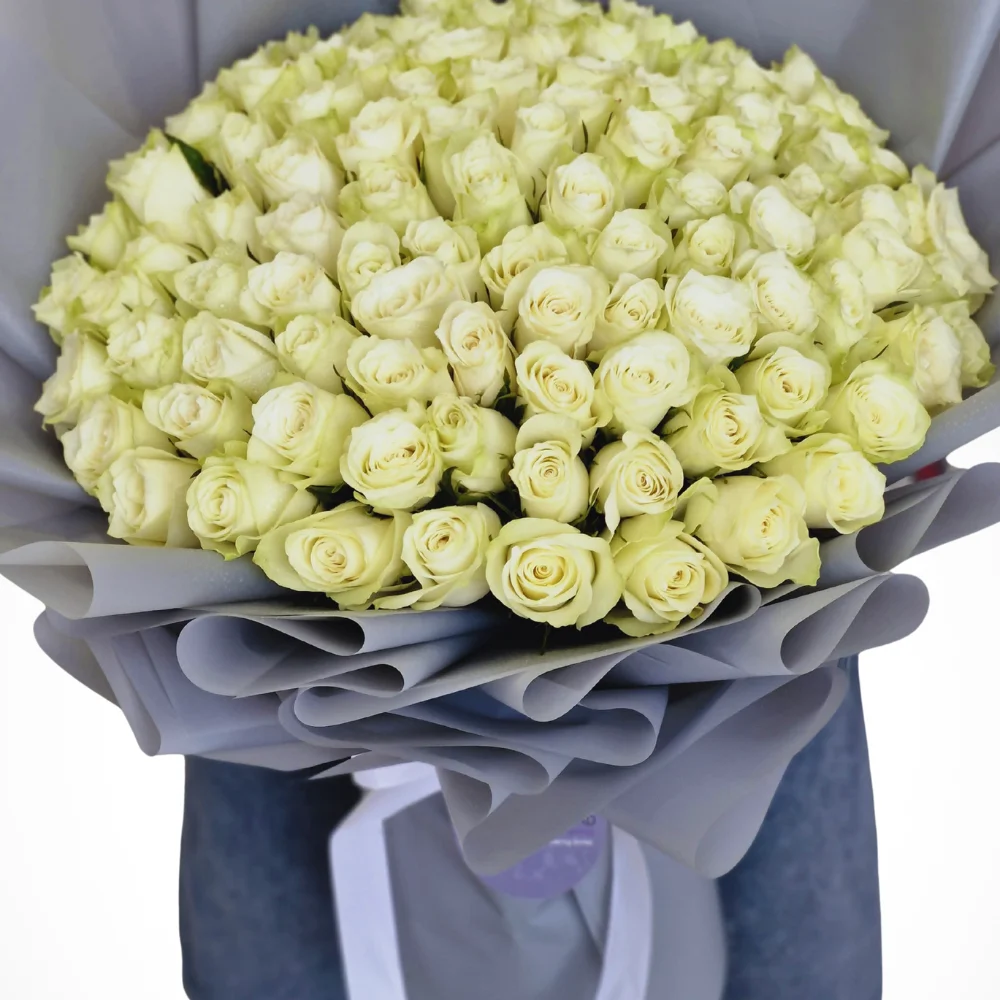 Shades of White - 100 Rose