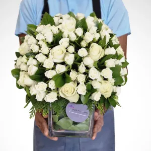 The snow and Paradise