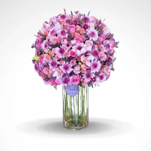 Purple Firework - One Faced design