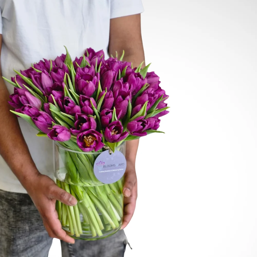 Musical Night - 50 Tulips