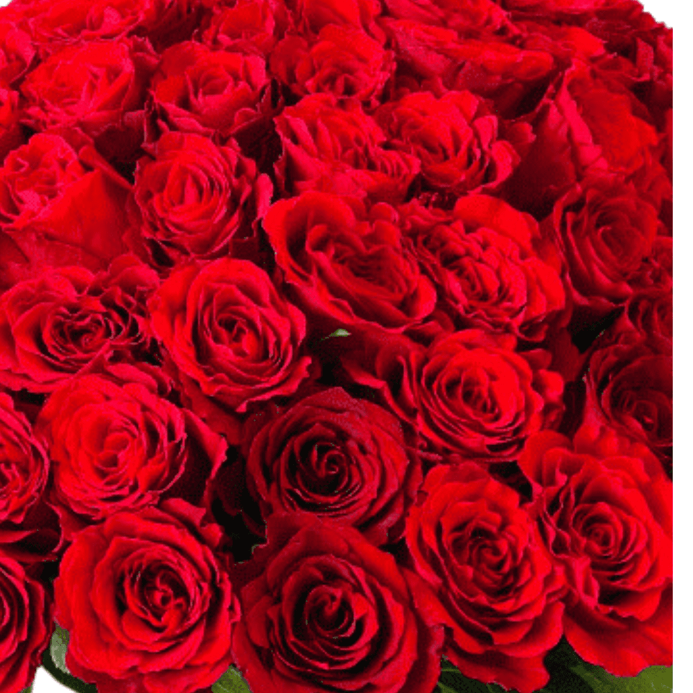 Symbol of Love - 150 Rose & 500 gm Patchi