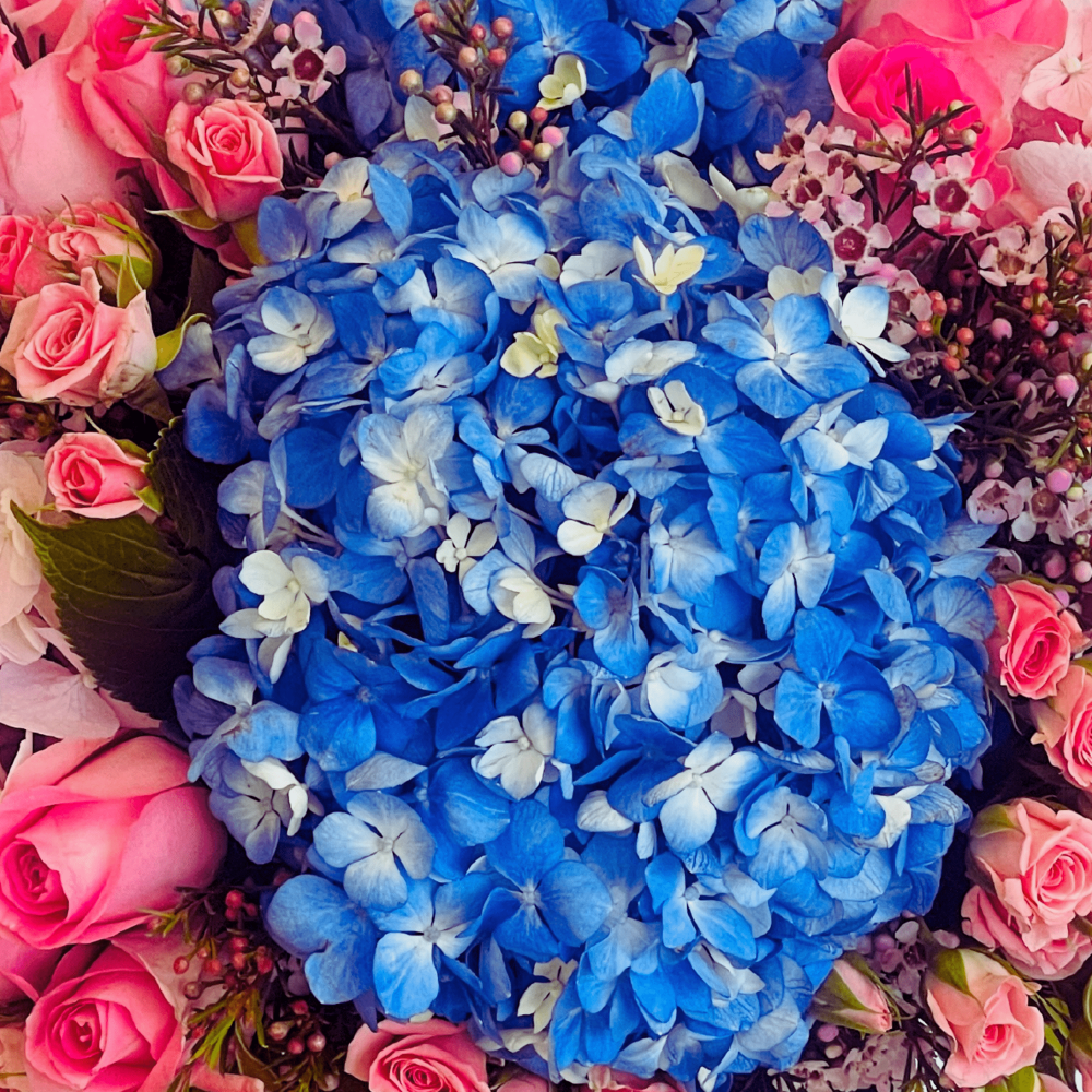 Blue Vibe - Special Collection
