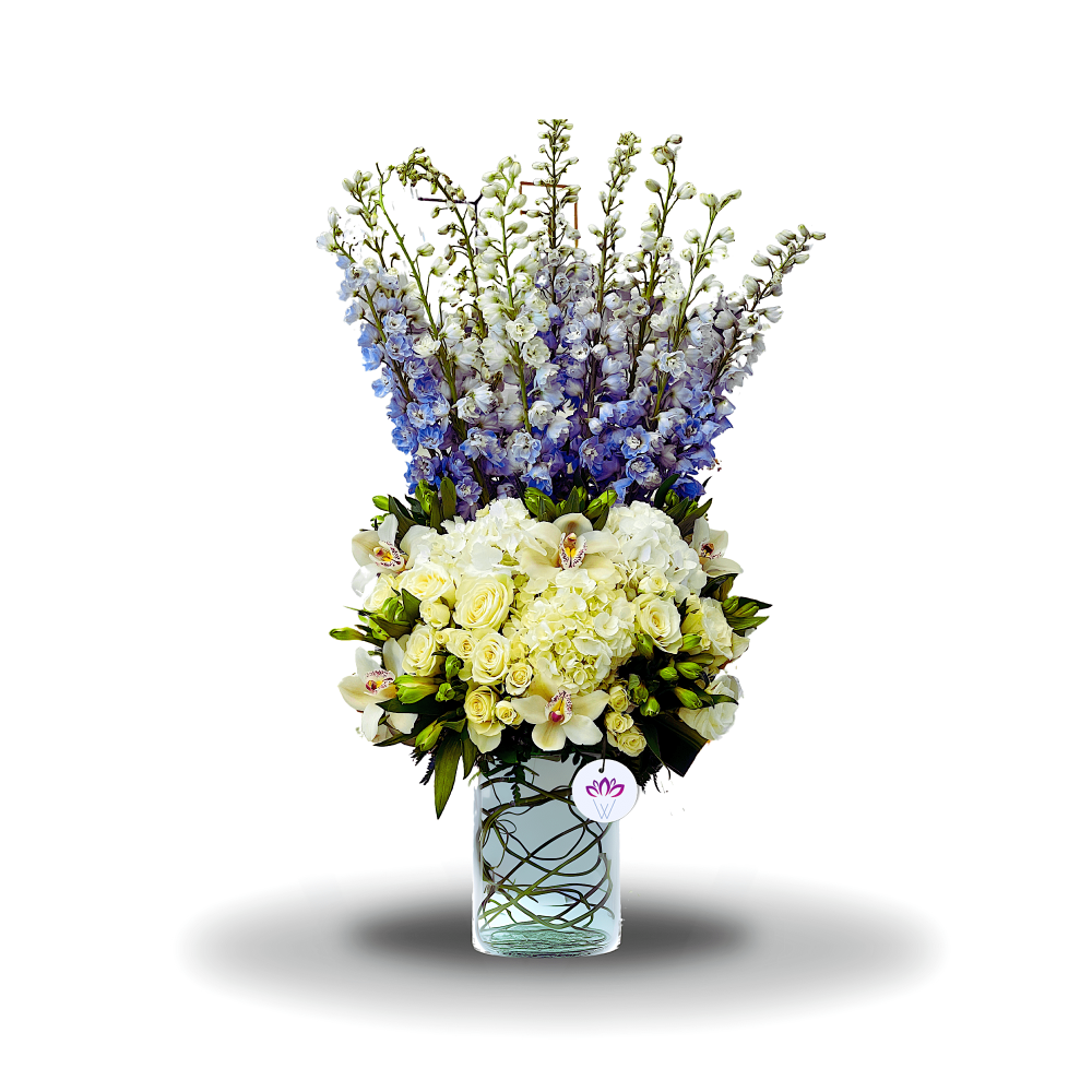 Shining Delphinium