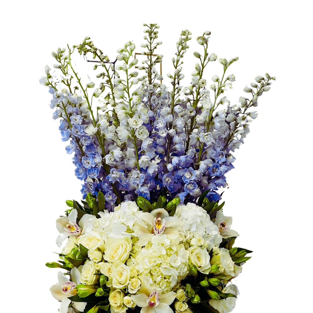 Shining Delphinium