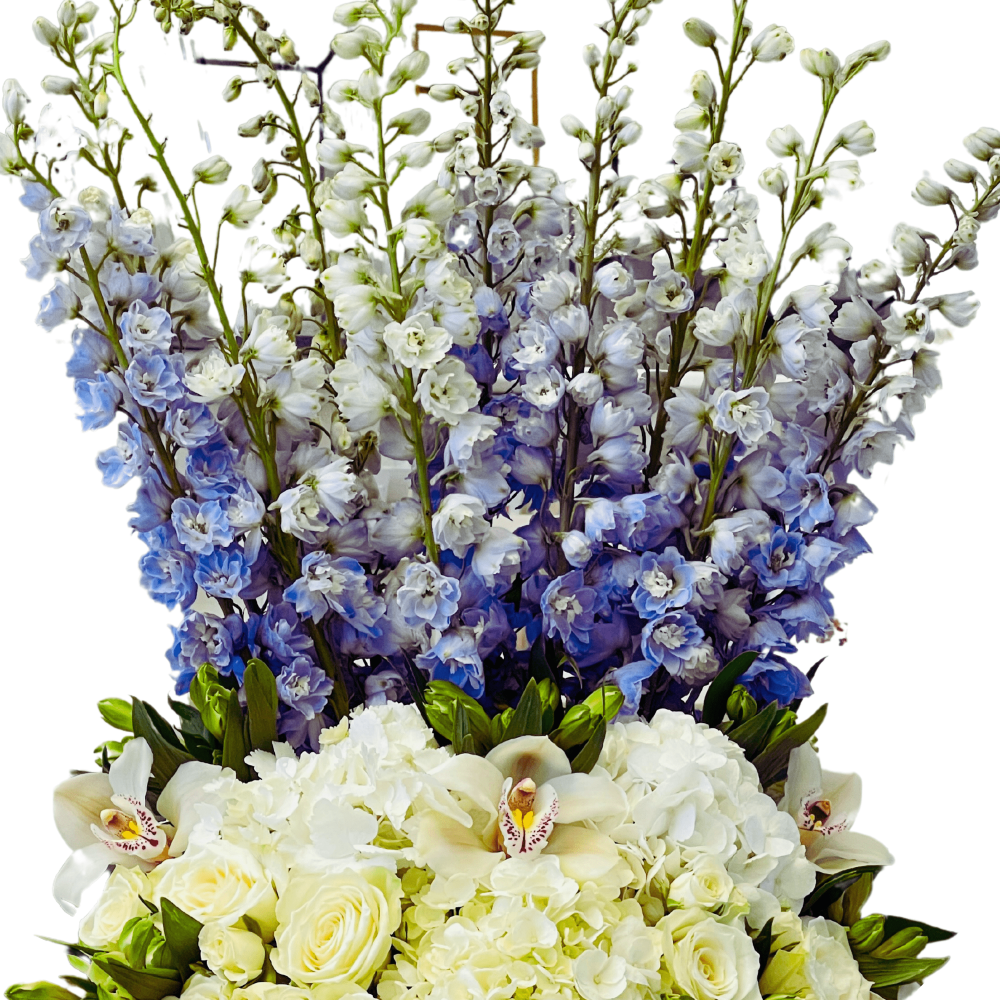 Shining Delphinium