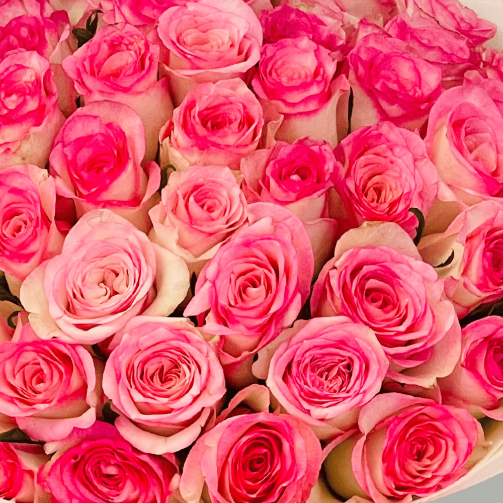 The bestie Bouquet -  50 Rose