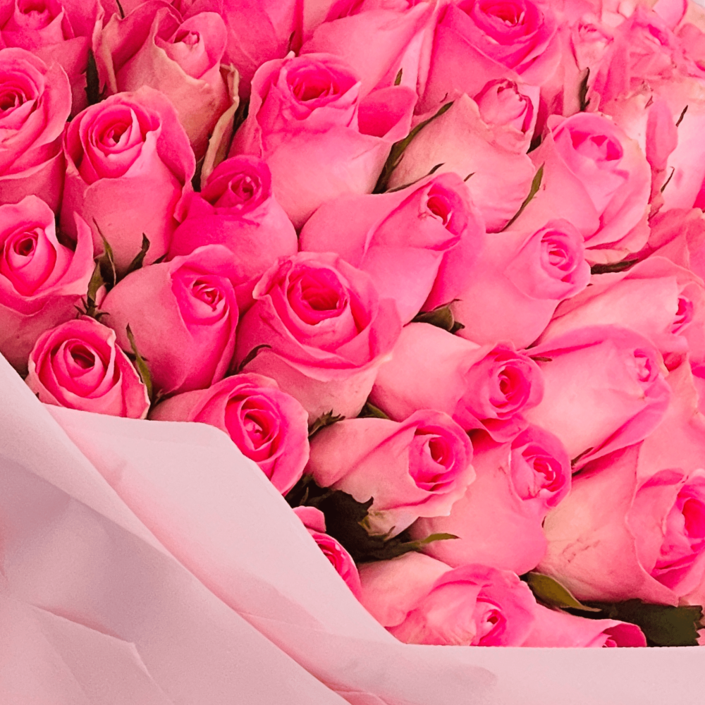 Pink Rose Bouquet - 100 Pink Rose