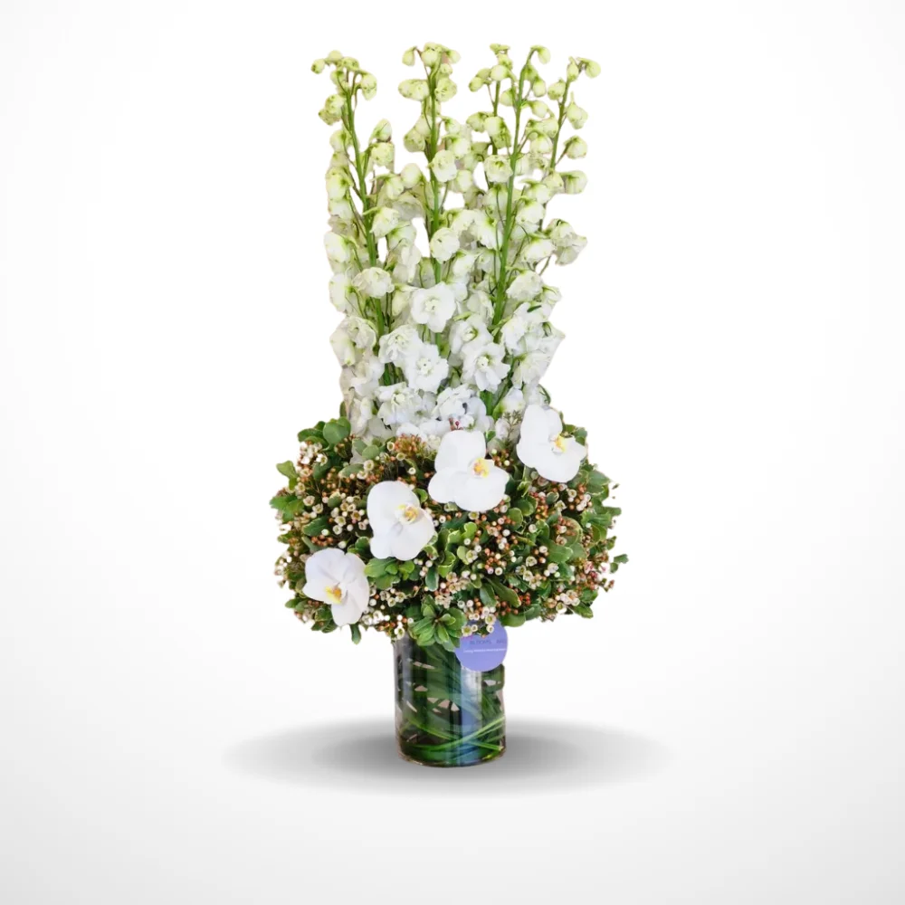 The Bloomsy Cream