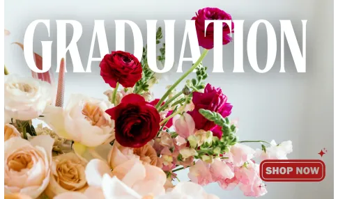 graduationelcome spring