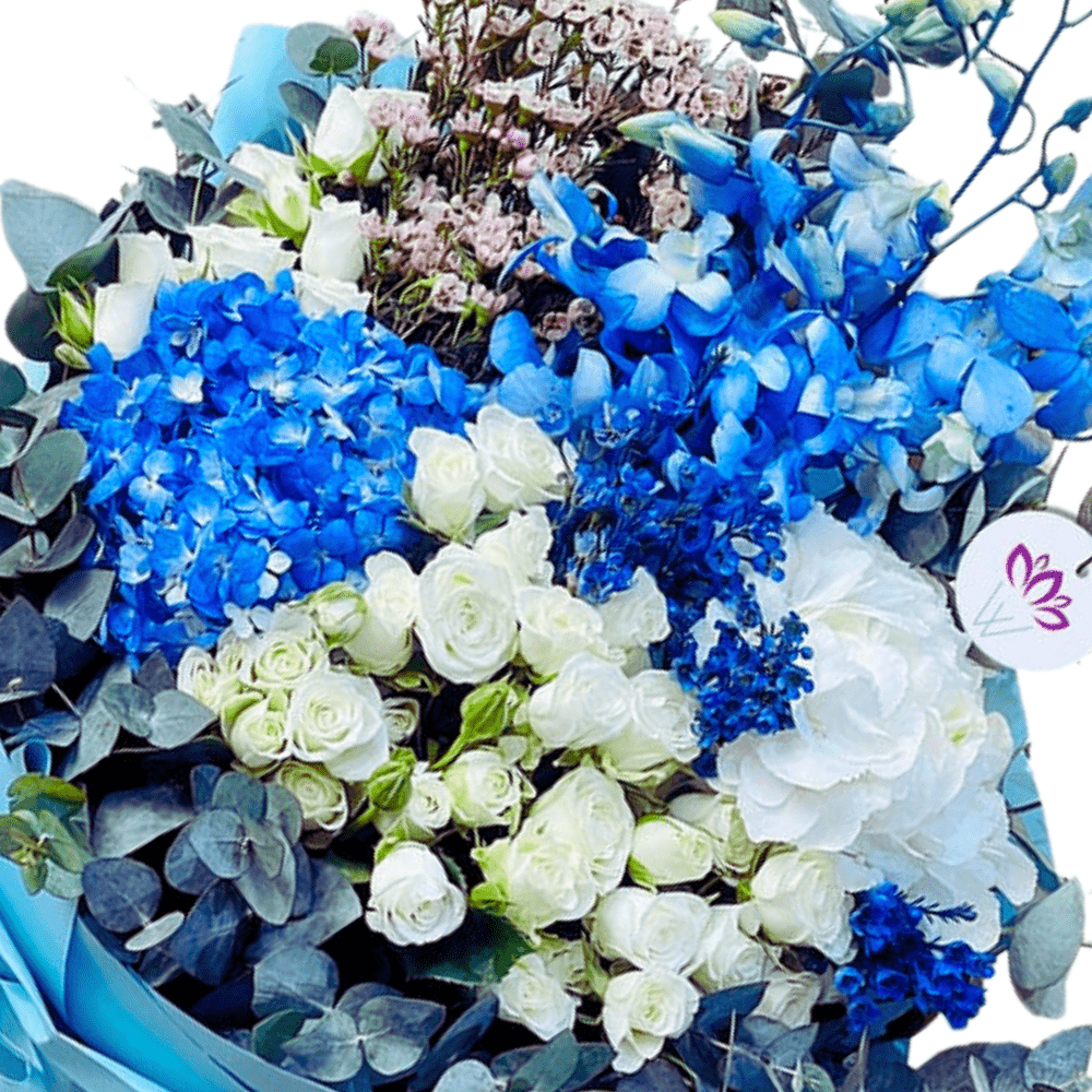 The Blue bells Combo