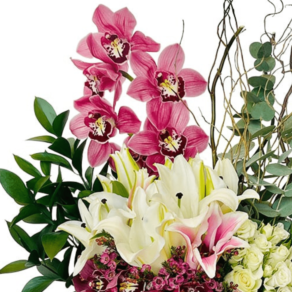 The Blooming Insight