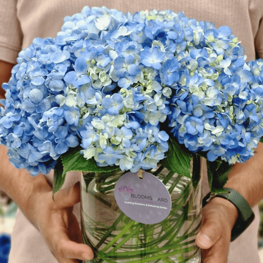 The Blue Splash