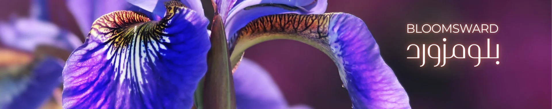 Blooms with vase in water