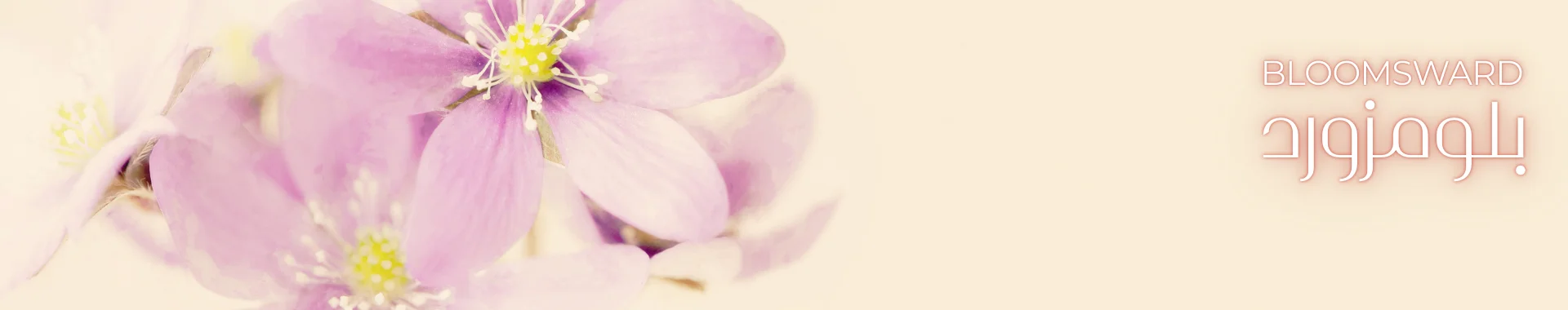 Flowers and Perfumes