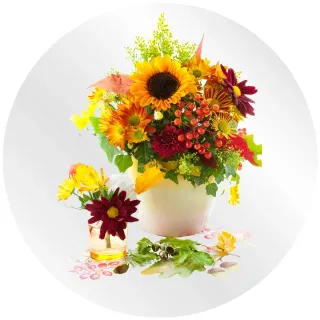 Feel Better Wishes