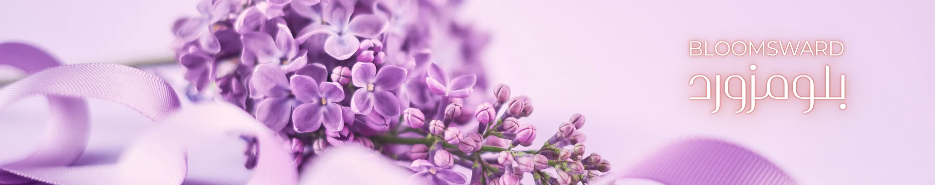 All Blooms