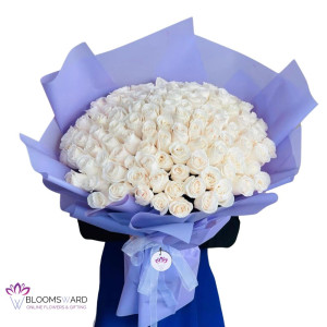 Shades of White - 100 Rose