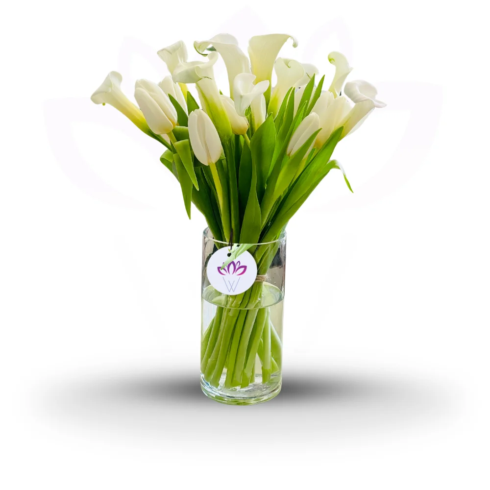 Matterhorn- Calla Lily & Tulips