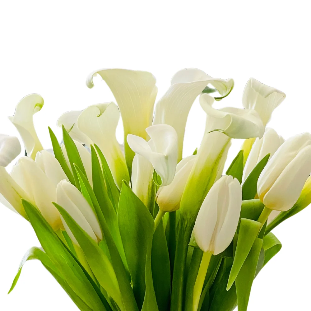 Matterhorn- Calla Lily & Tulips