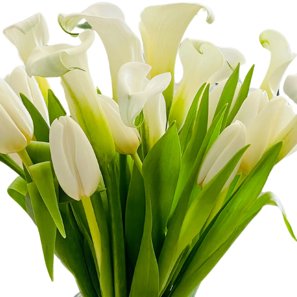 Matterhorn- Calla Lily & Tulips